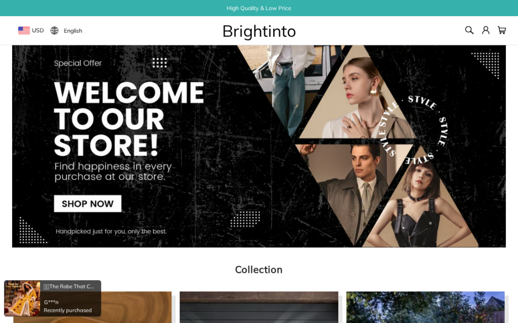Brightinto.com EXPOSED - Fake Store or Legit? What We Found 1 Brightinto.com scam