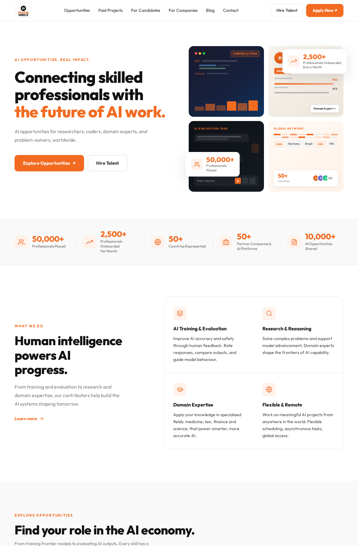 Crossing Hurdles website presenting remote AI opportunities and its contributor network