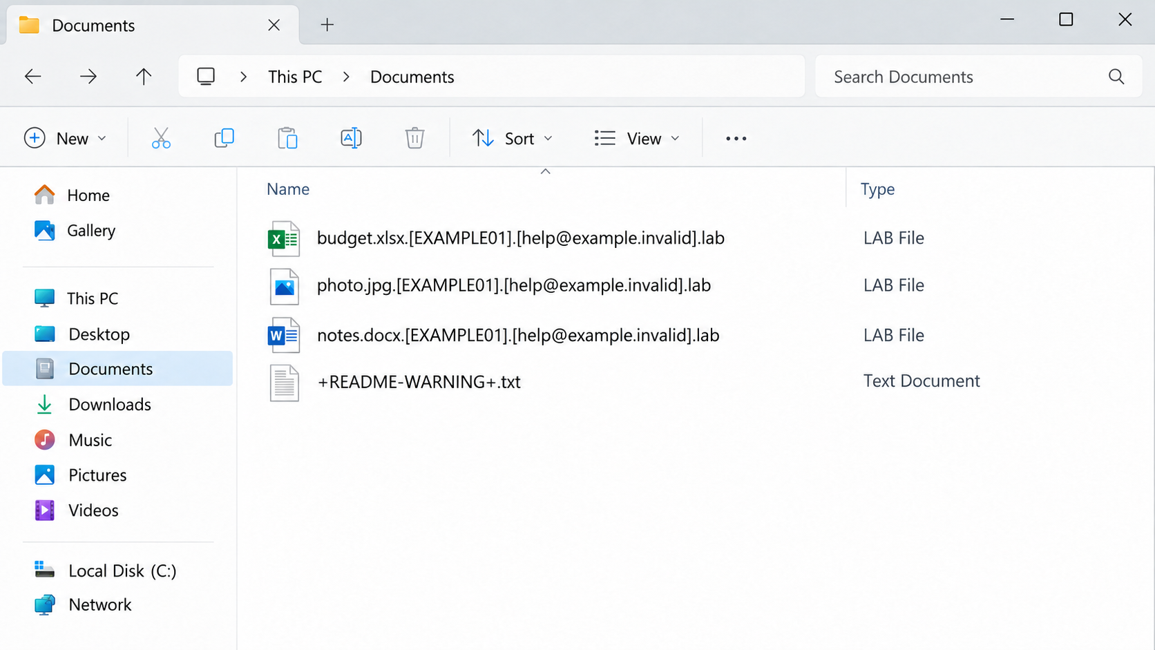 Illustrative Windows folder containing sample .lab filenames and the +README-WARNING+.txt ransom note