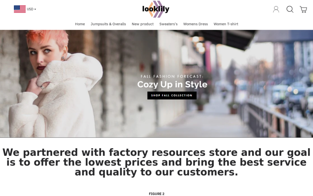 Looklily.com EXPOSED - Fake or Real? Store Investigation 1 Looklily.com scam