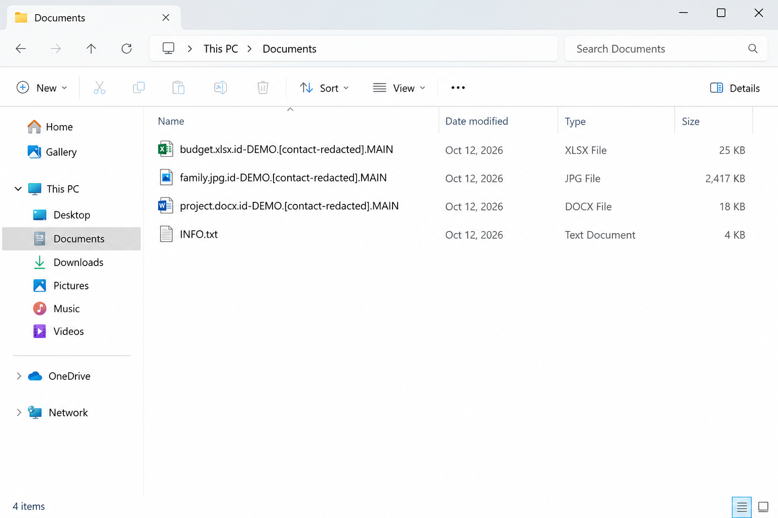 Illustrative MAIN filename pattern with demo ID, redacted contact, and INFO.txt