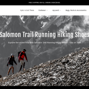 Salomonone.com scam