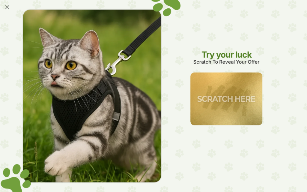 Stimulicat.com scam