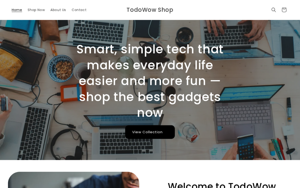 Todowow-shop.online scam