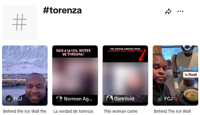 TikTok #torenza hashtag page showing Ice Wall videos and reposted airport clips, with the real passenger blurred