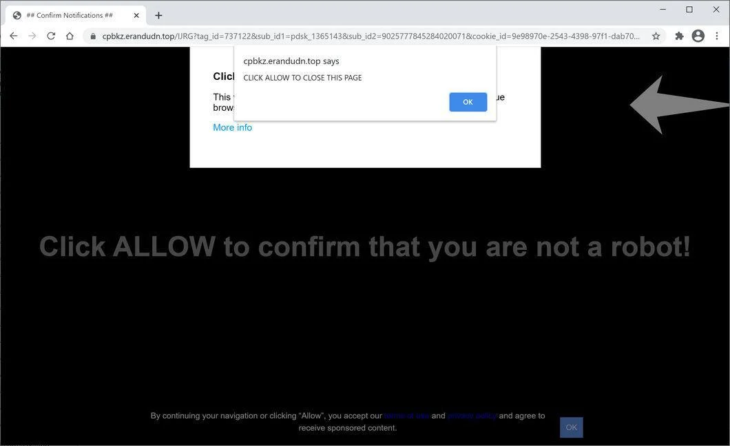 Remove Erandudn.top pop-up ads (Virus Removal Guide) 1 Image: Chrome browser is redirected to Erandudn.top