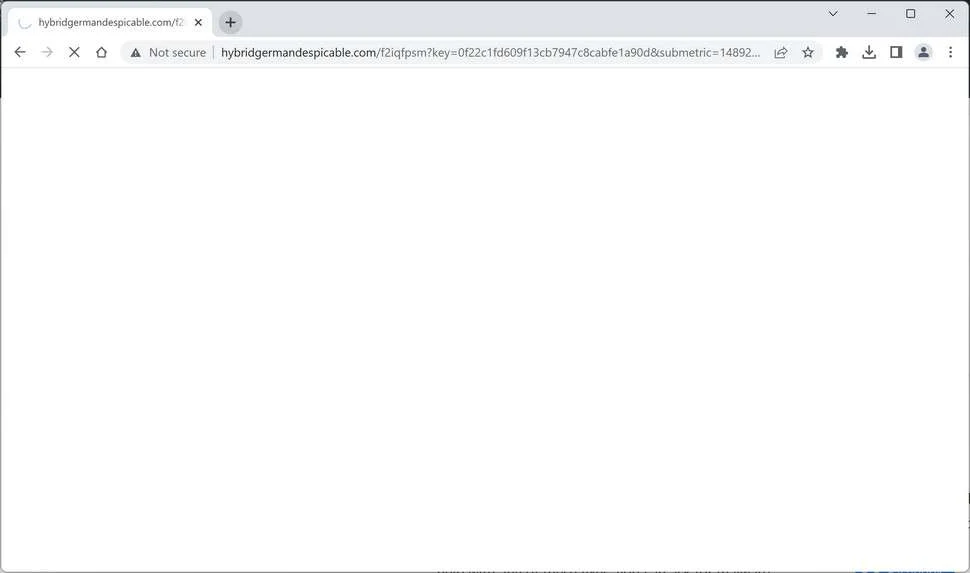 Image: Chrome browser is redirected to the Hybridgermandespicable.com site