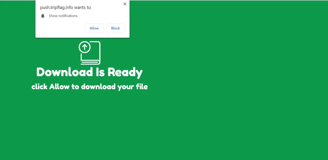 How to remove Push.tripflag.info pop-up ads (Virus Removal Guide) 1 Image: Chrome browser is redirected to Push.tripflag.info