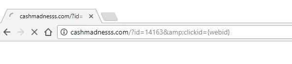 cashmadnesss.com redirect cashmadnesss.com redirect virus