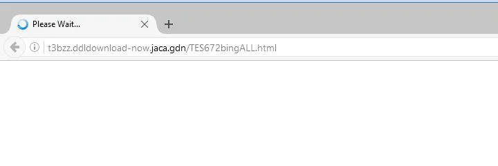 t3bzz.ddldownload-now.jaca.gdn virus