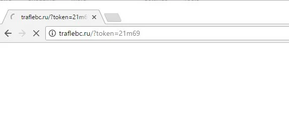 traflebc.ru virus