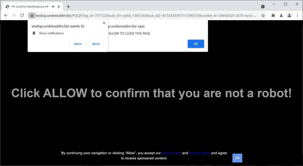 Remove Undwouldm.biz pop-up ads (Virus Removal Guide) 1 Image: Chrome browser is redirected to Undwouldm.biz
