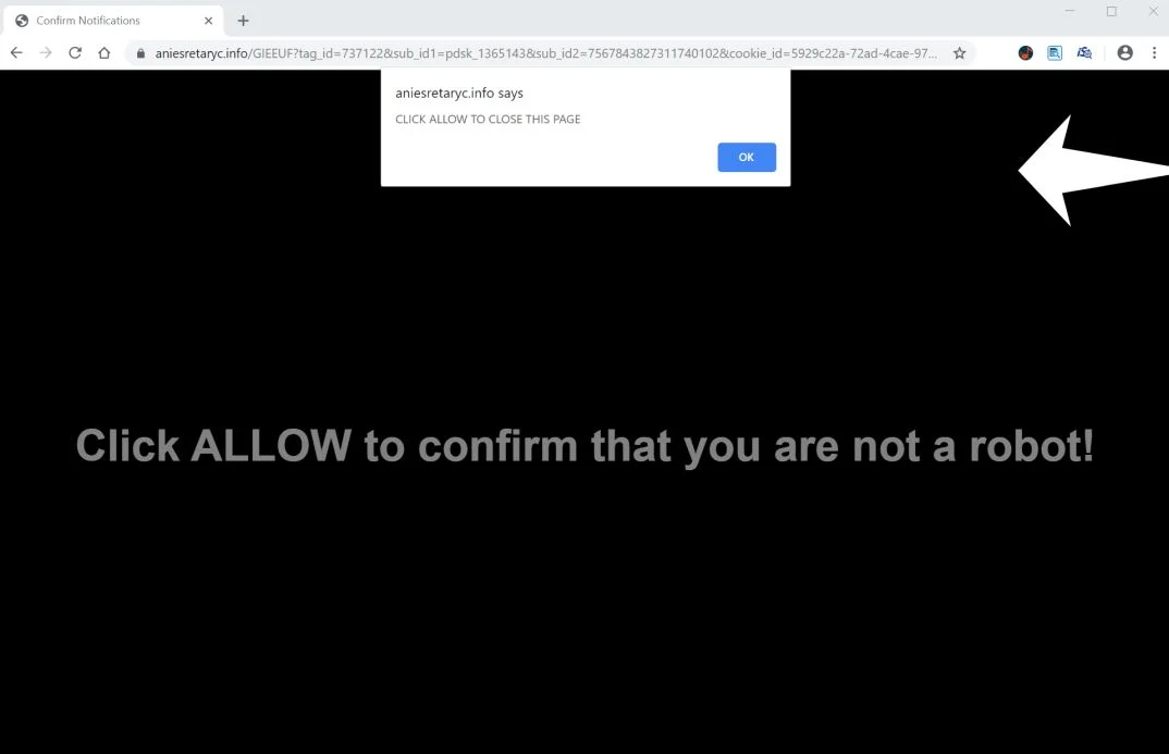 Image: Chrome browser is redirected to Aniesretaryc.info