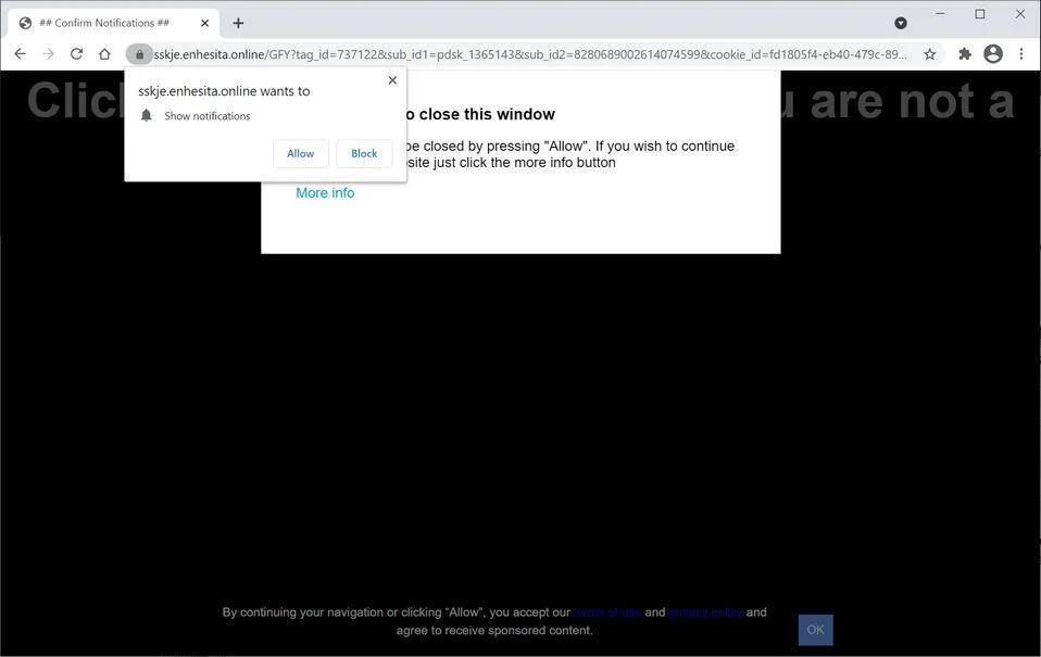 Remove Enhesita.online pop-up ads (Virus Removal Guide) 1 Image: Chrome browser is redirected to Enhesita.online