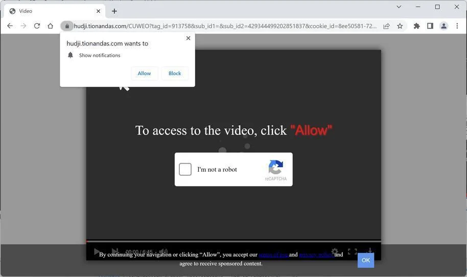Image: Chrome browser is redirected to Tionandas.com