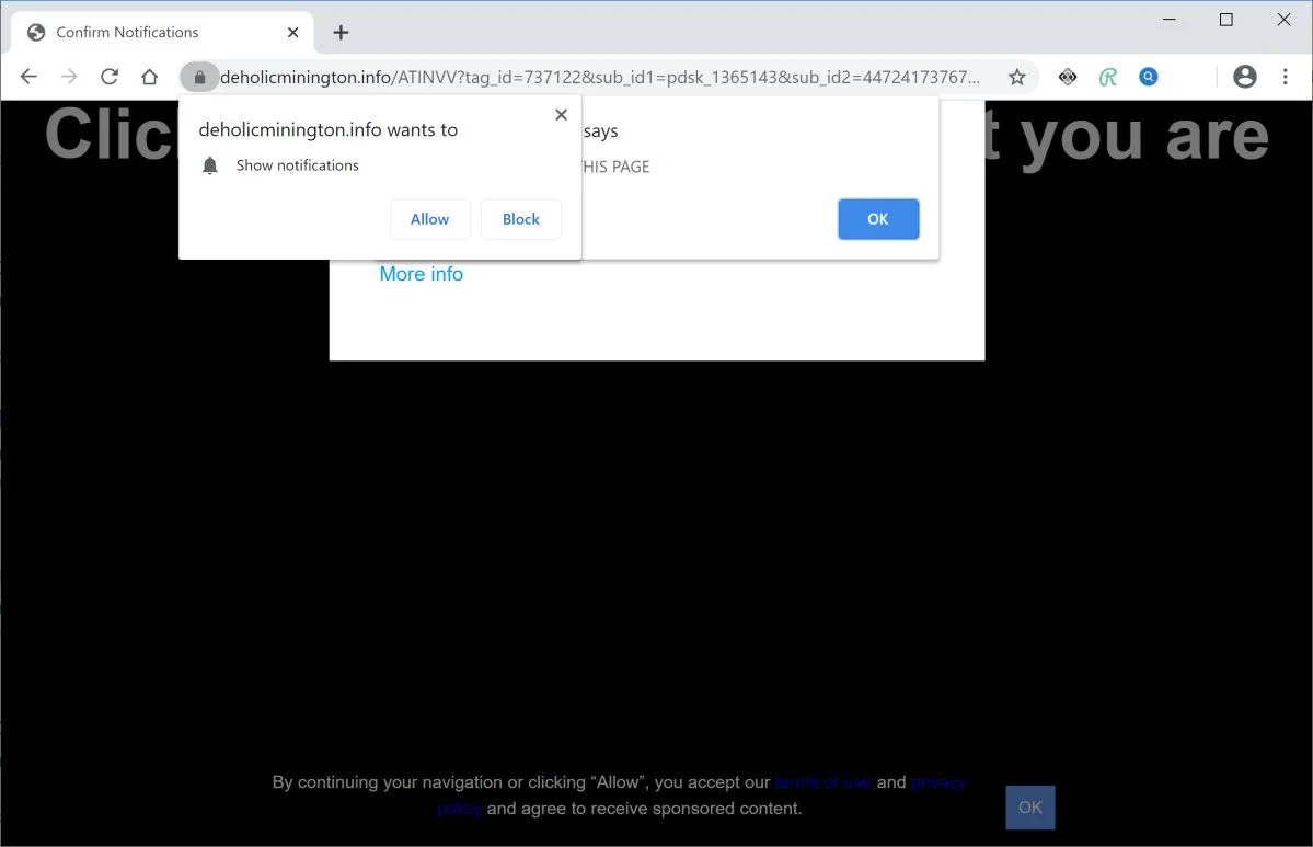 Image: Chrome browser is redirected to Deholicminington.info