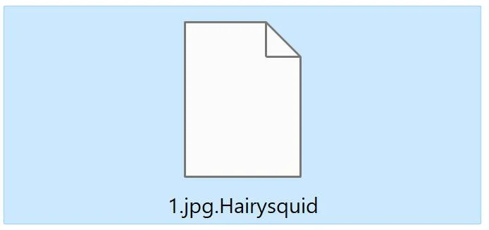 Image: Hairysquid ransomware