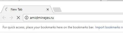 amidminejes.ru virus