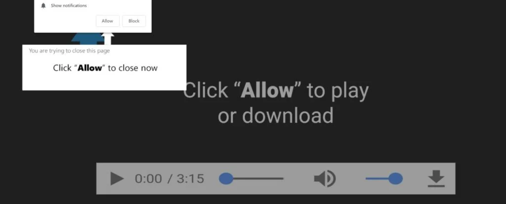 Image: Chrome browser is redirected to the Eegookiz.com site