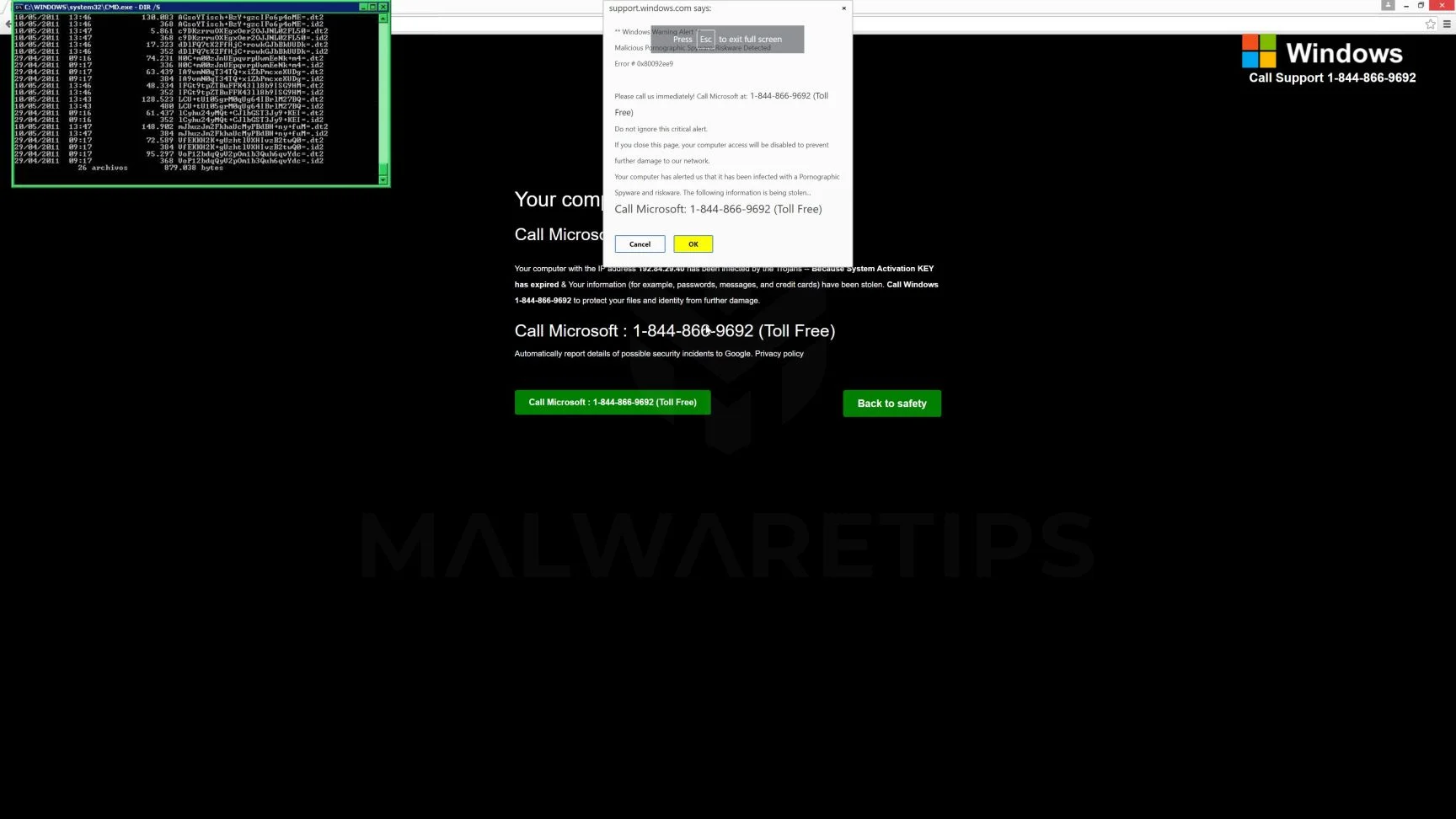 How to remove Ecomapi.org pop-ups (Microsoft Support Scam) 1 Image: Ecomapi.org - Tech Support Scam