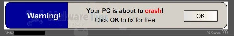 Warning! Your PC is about to crash! virus Picture of Warning! Your PC is about to crash! virus