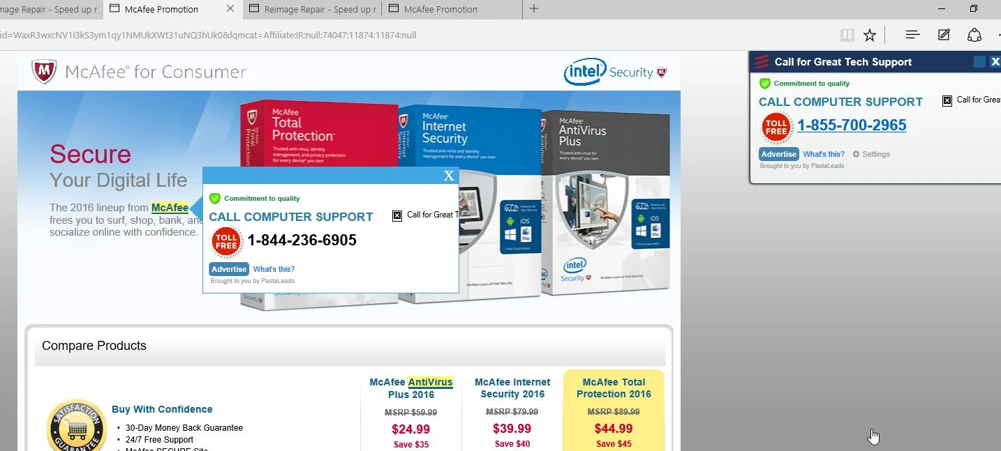 Instant Support pop-up virus