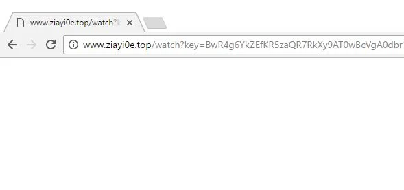 www.ziayi0e.top virus