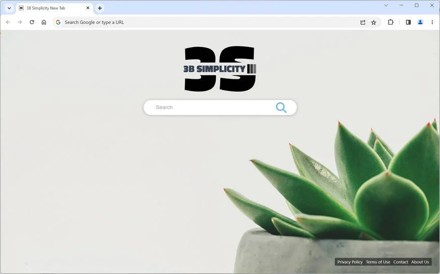 3B Simplicity