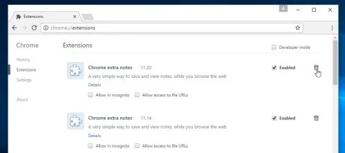 Google Chrome Extensions page