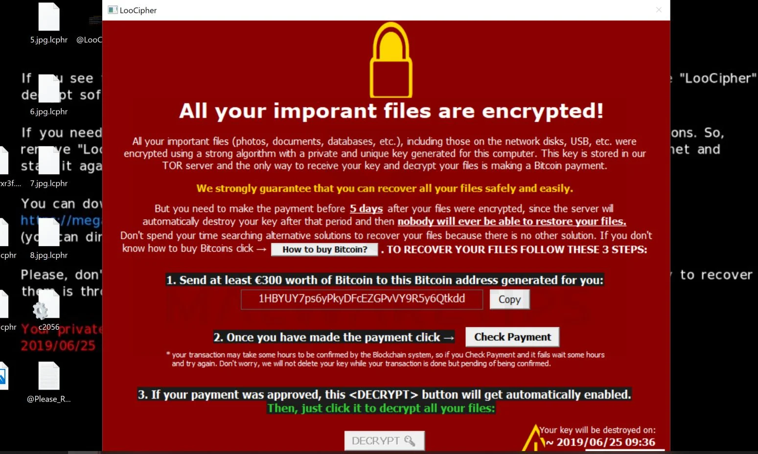Image: LooCipher ransomware