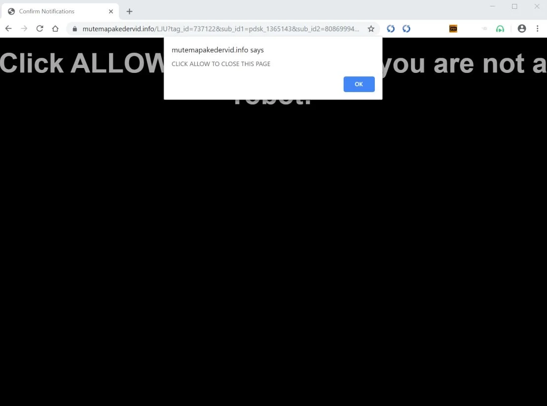 Image: Chrome browser is redirected to Mutemapakedervid.info