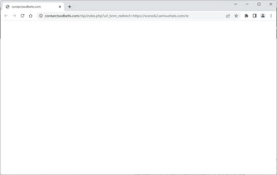 contarctsodbelts.com ad