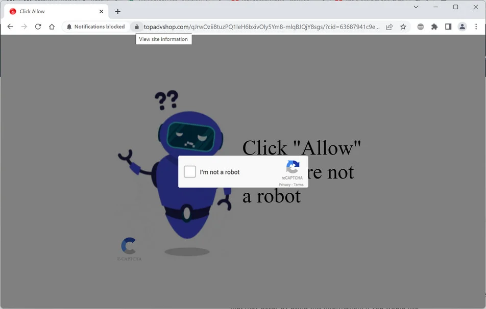 Image: Topadvshop.com Ads