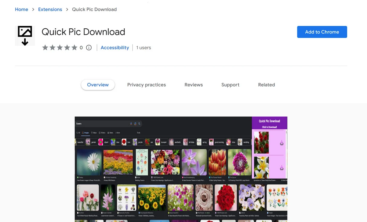 Image: Quick Pic Download Chrome Extension