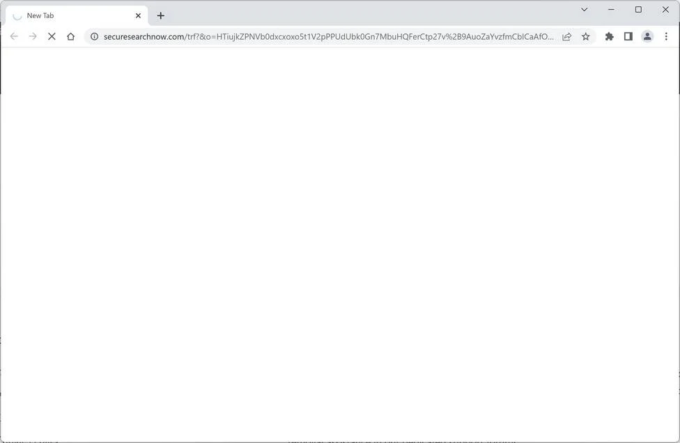 Securesearchnow.com ad