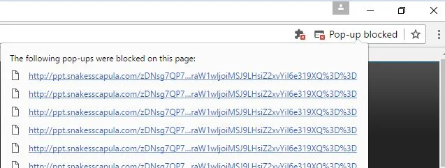ppt.snakesscapula.com virus