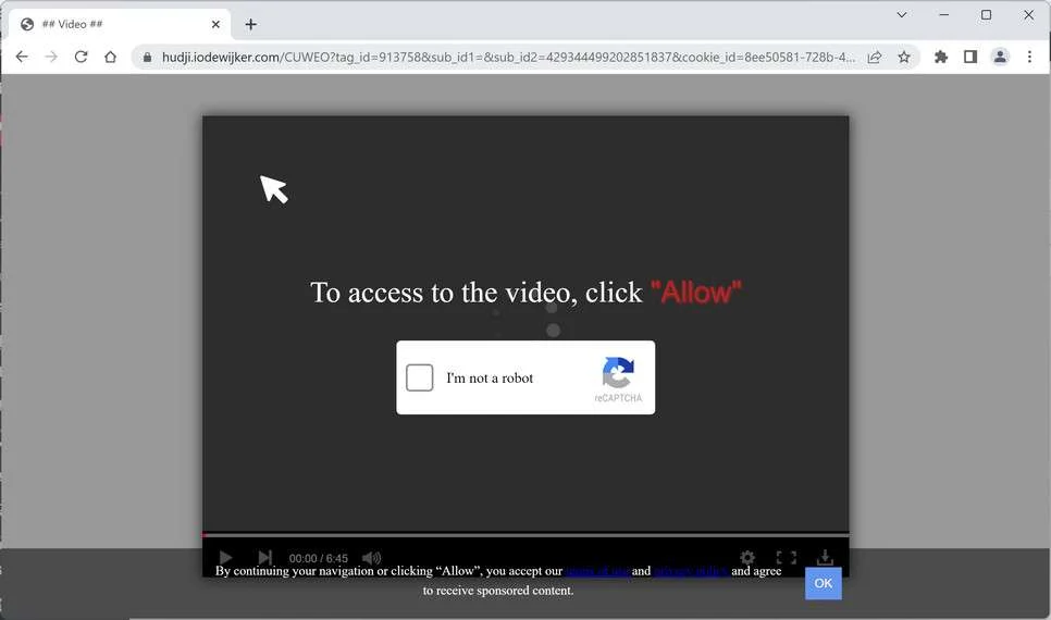 Image: Iodewijker.com Ads