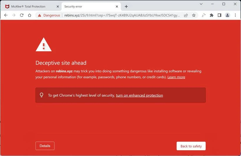 Screenshot of Rebins.xyz Fake Antivirus Scan