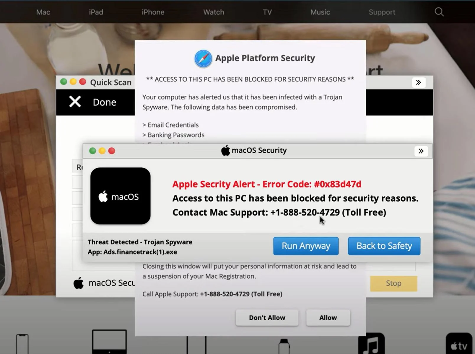 Mac OS The system is in danger Fake