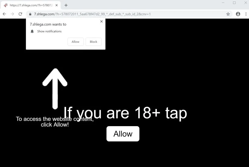 shlega.com redirect virus