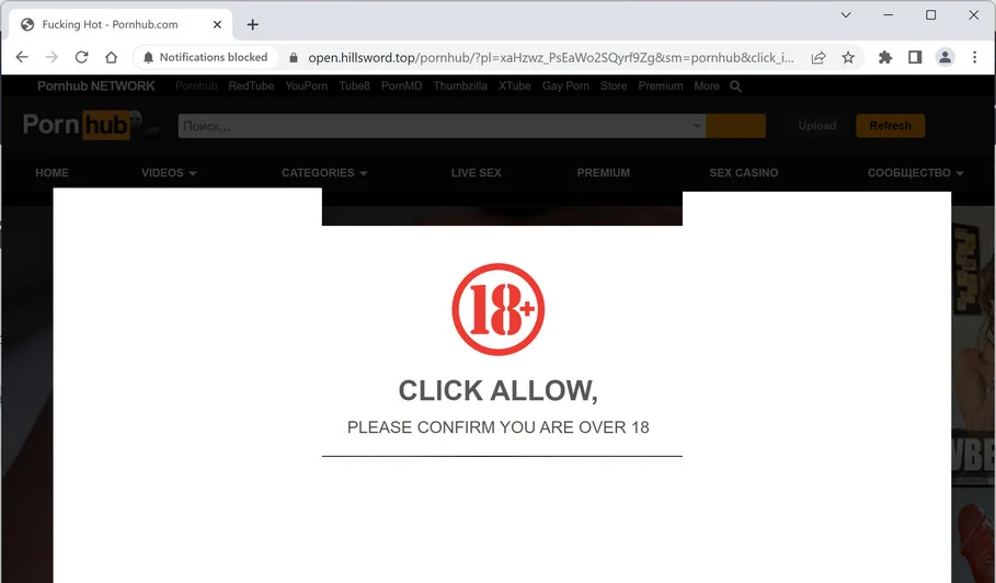 Image: Hillsword.top Ads