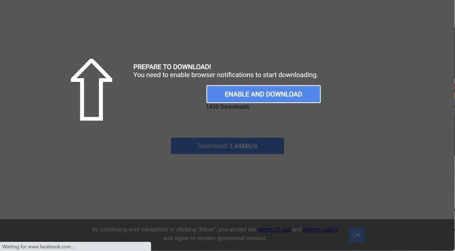 Image: Chrome browser is redirected to Ellernodde.com