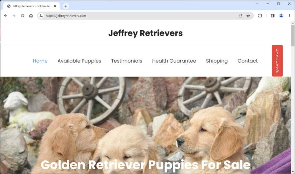 Puppy Scam Websites Exposed: How to Spot and Avoid Fake Online Breeders 1 Jeffreyretrievers.com scam