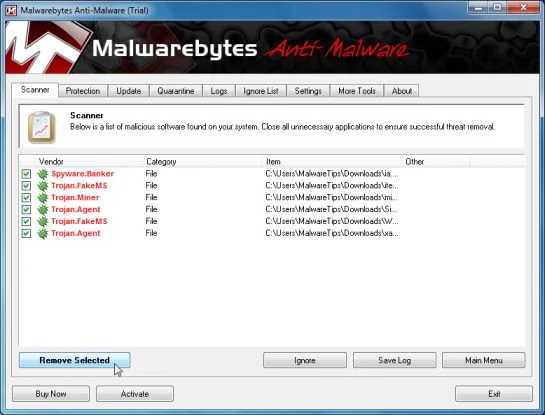 Malwarebytes Chameleon malicious process