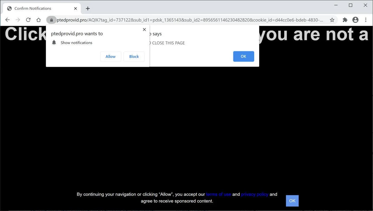  Image: Chrome browser is redirected to Ptedprovid.pro