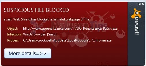 [Image: Win32:Evo-gen [Susp] virus]