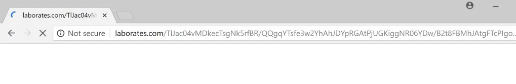 Laborates.com redirect