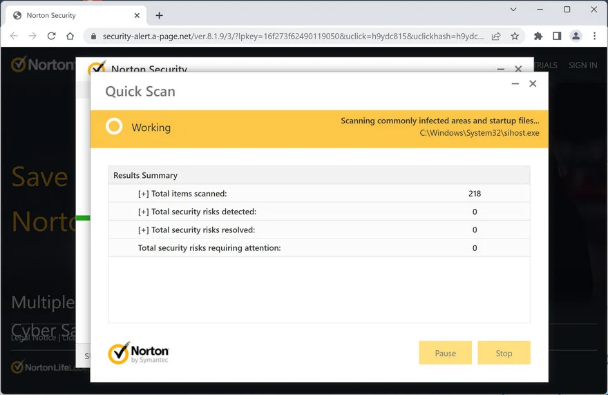 Image: Security-alert.a-page.net Fake Norton Virus Alert
