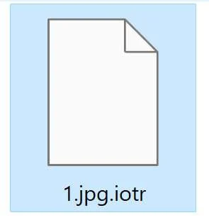 Image: File encrypted by the IOTR Ransomware