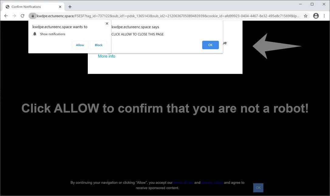 Remove Ectureenc.space pop-up ads (Virus Removal Guide) 1 Image: Chrome browser is redirected to Ectureenc.space